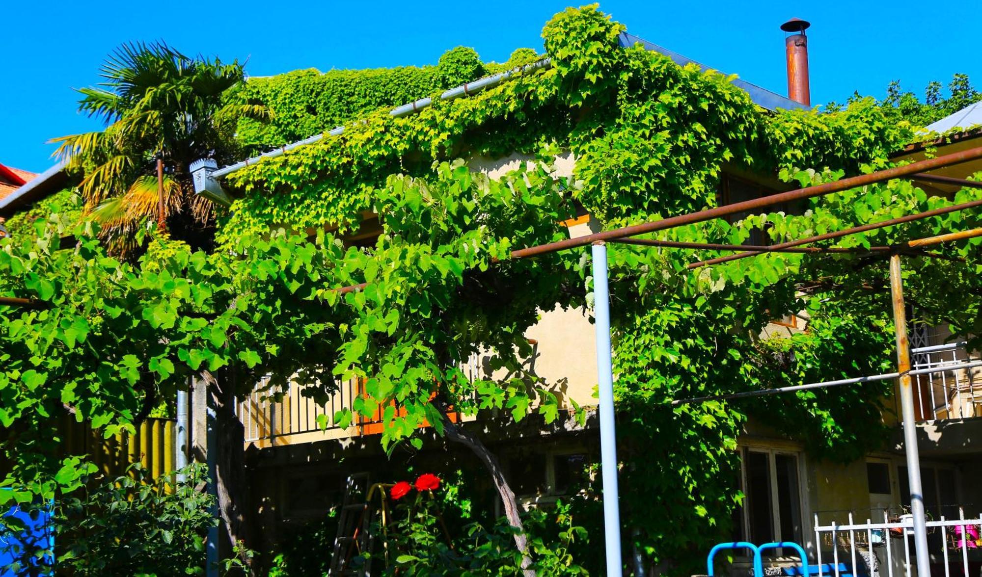 Guest House Green Veranda Mtsʼkhetʼa Eksteriør bilde