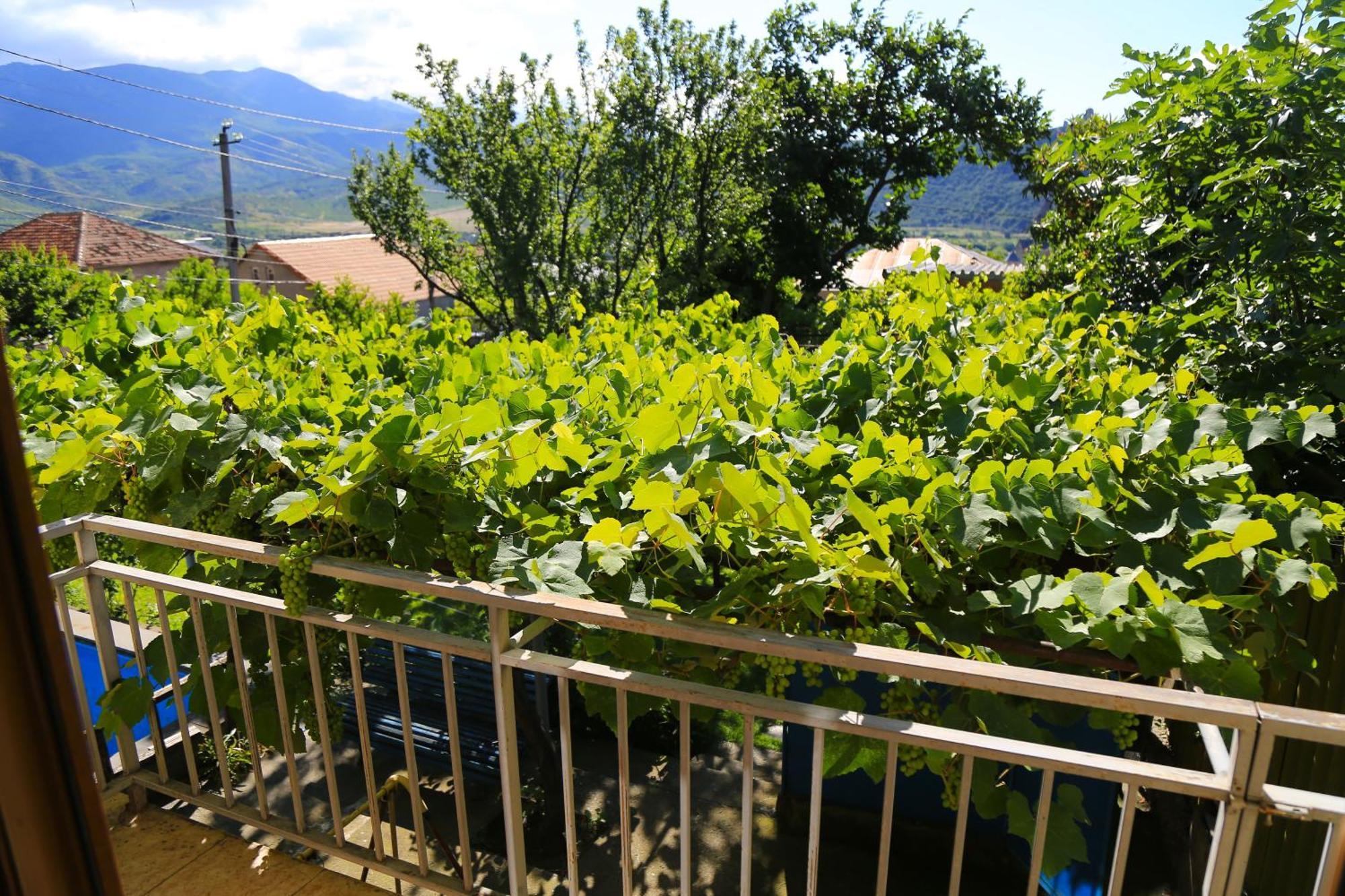 Guest House Green Veranda Mtsʼkhetʼa Eksteriør bilde