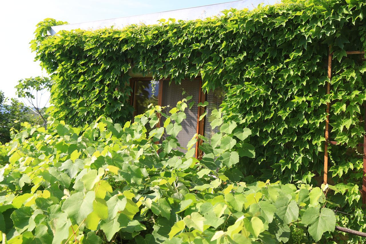 Guest House Green Veranda Mtsʼkhetʼa Eksteriør bilde